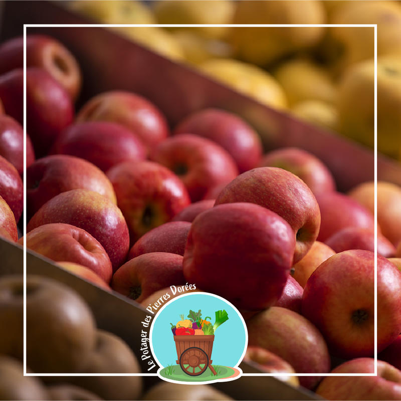 Potager des Pierres Dorées