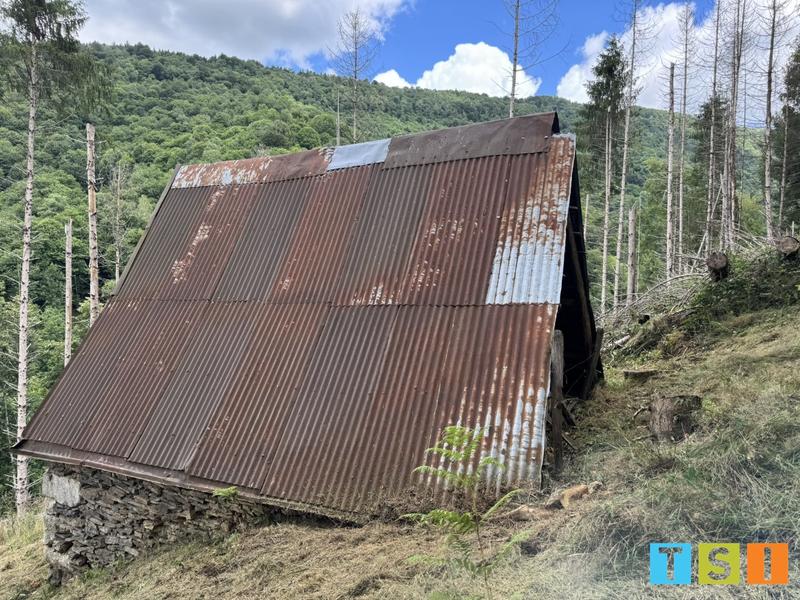 Maison - 25 m² - 1 pièce