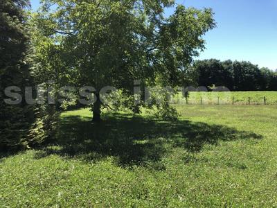 Maison - 200 m² - 5 pièces