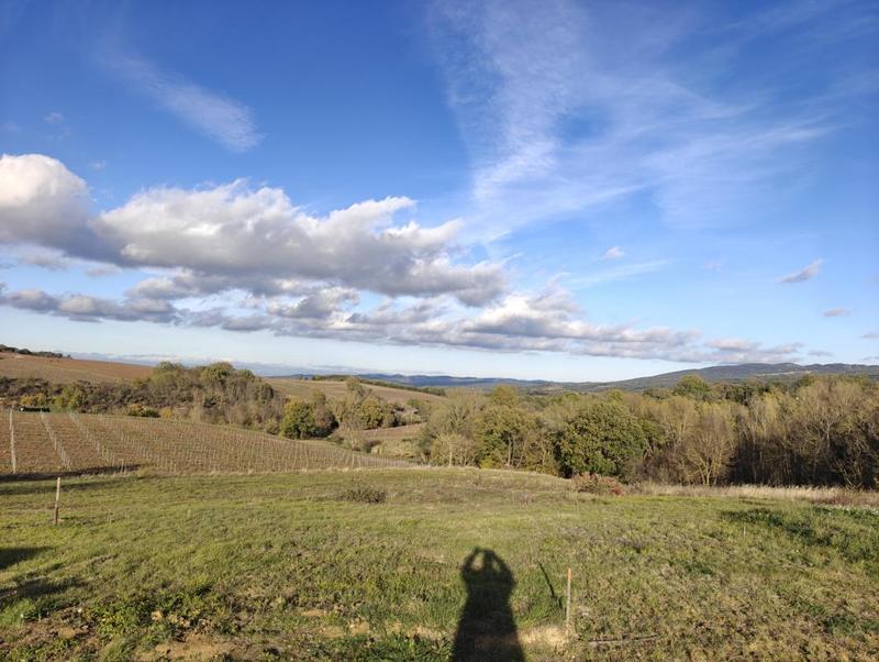 Terrain constructible - 6 839 m²