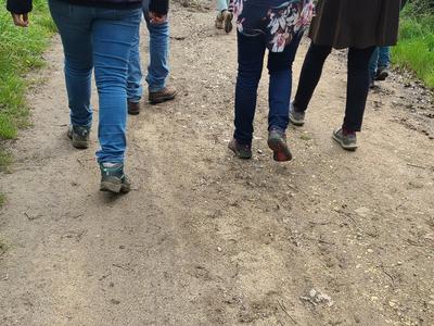 Randonnée printanière