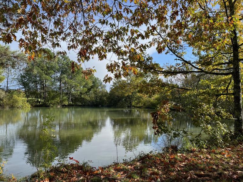 Maison - 430 m² - 16 pièces