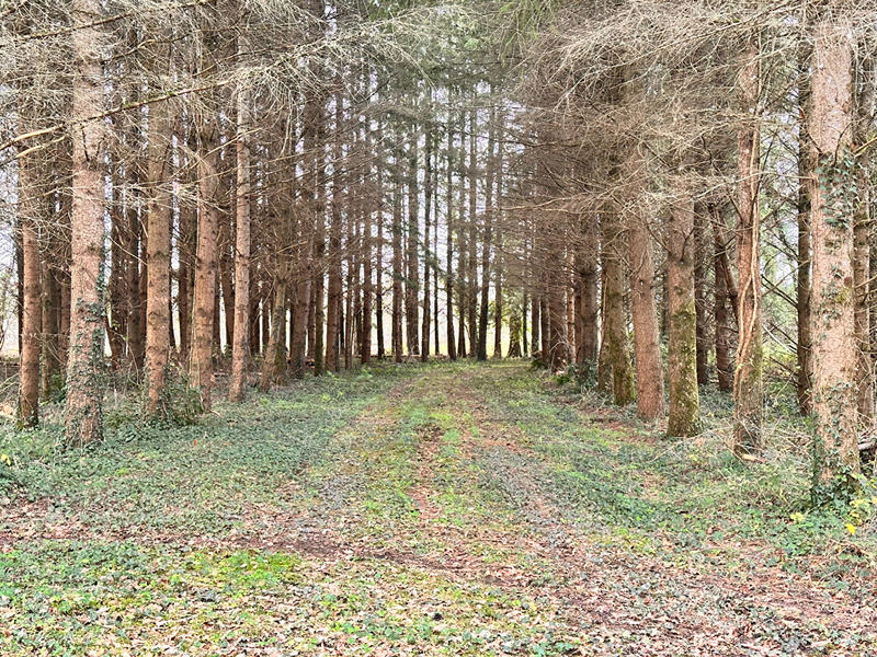 Terrain de loisirs - 23 143 m²