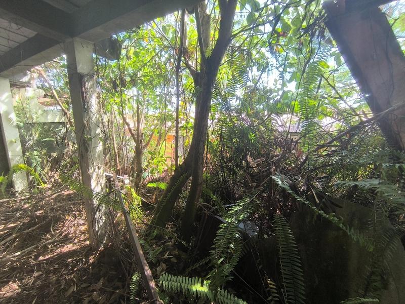 Maison - 50 m² - 2 pièces