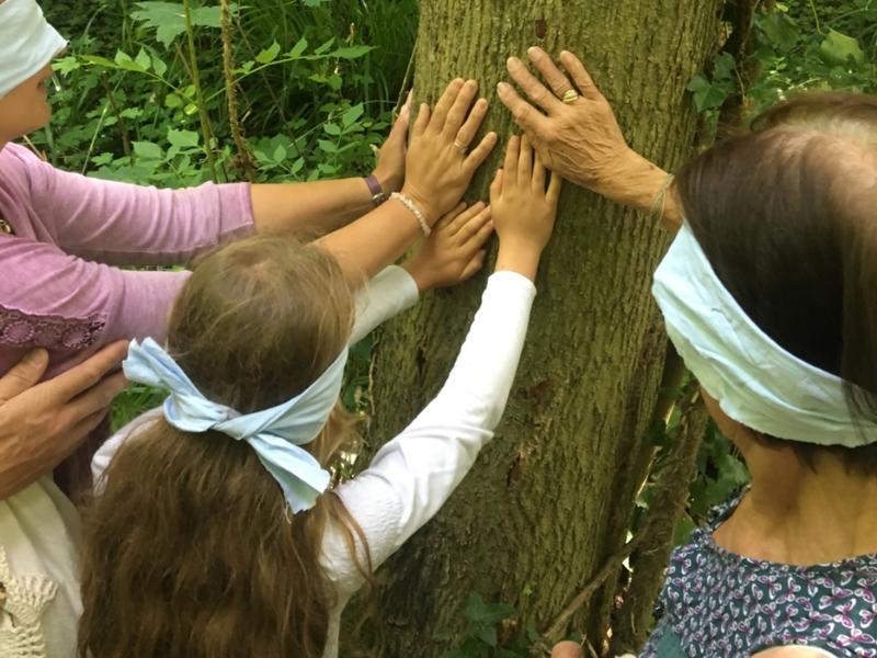 Promenade sensorielle au bois du Caprice