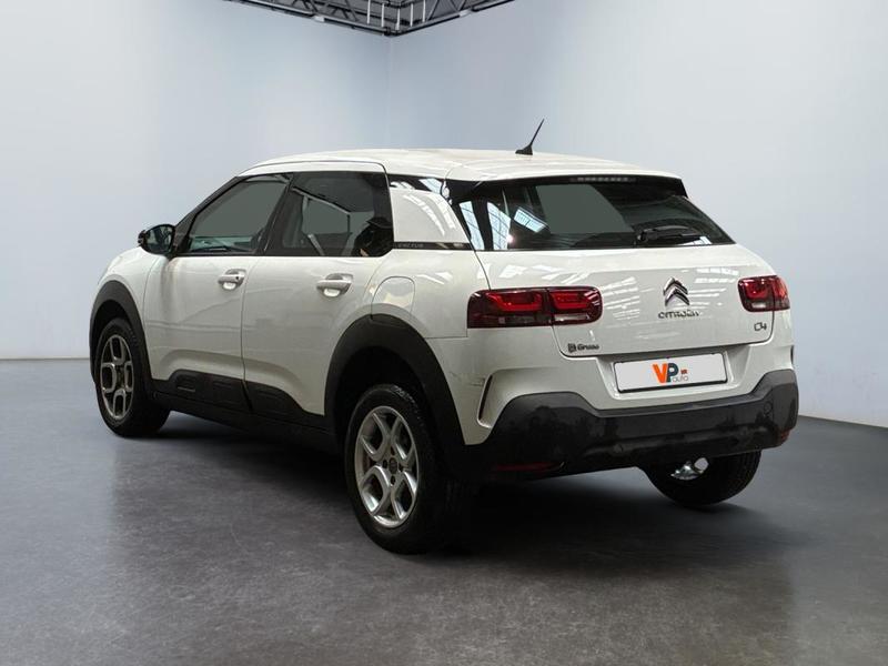 Citroën C4 Cactus Business PureTech 110 s&amp;S Bvm6 Feel