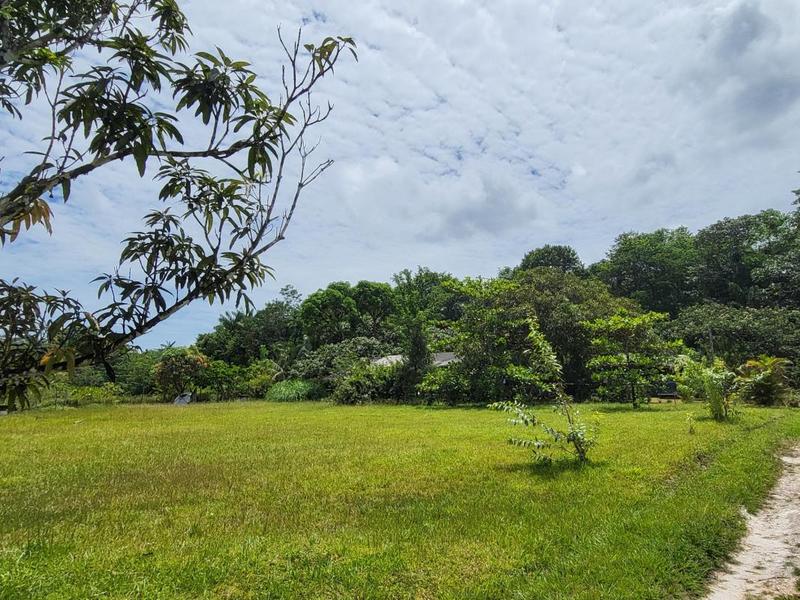 Maison de village - 50 m² - 3 pièces