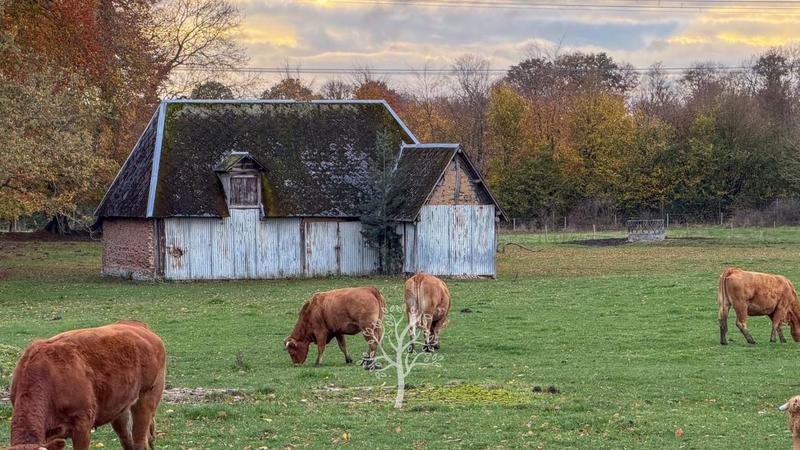 Corps de ferme - 115 m² - 5 pièces