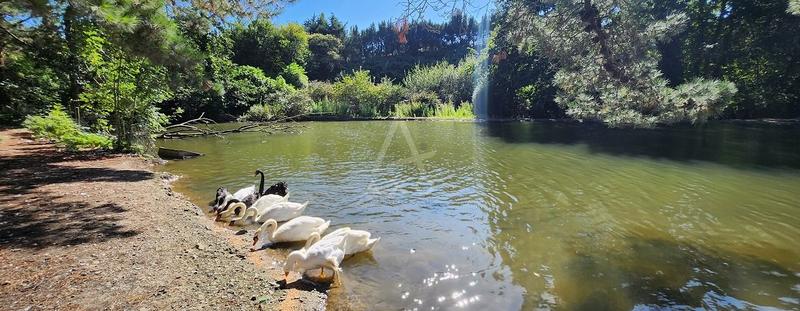 Maison - 640 m² - 25 pièces