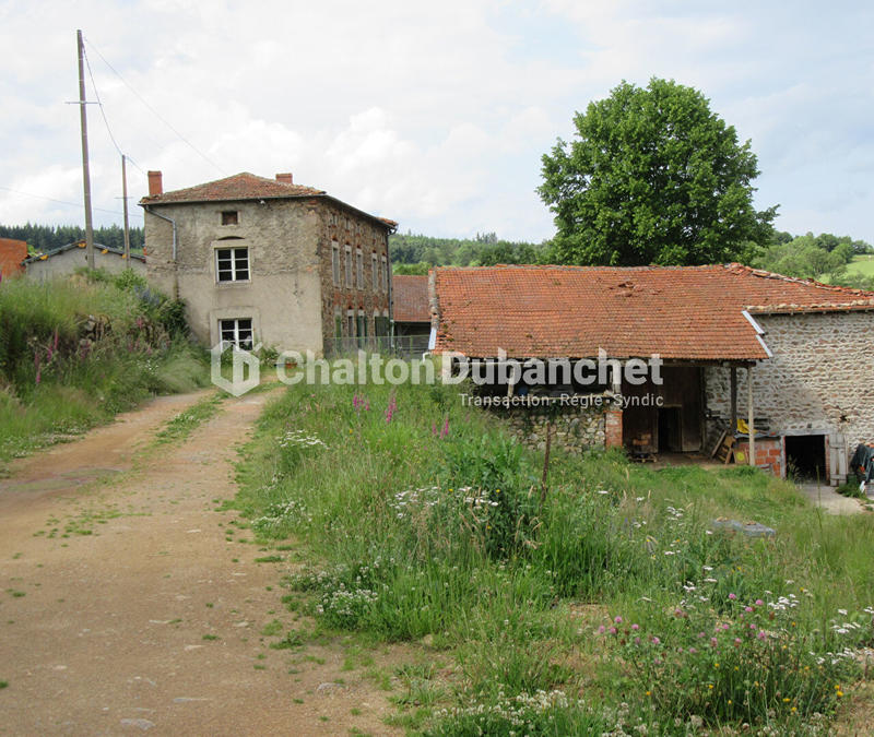 Corps de ferme - 250 m² - 8 pièces
