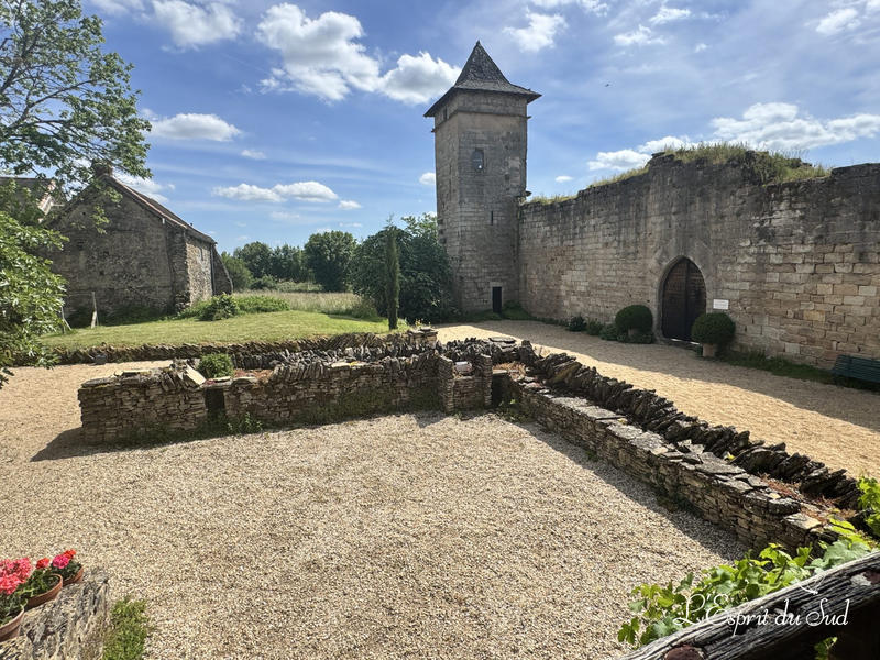 Château - 245 m² - 11 pièces