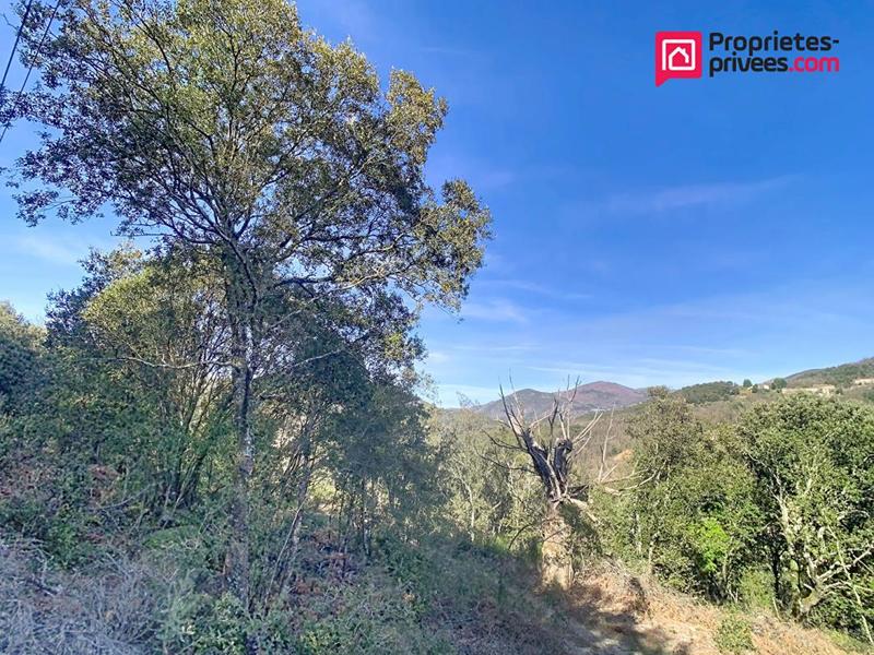 Maison - 185 m² - 10 pièces