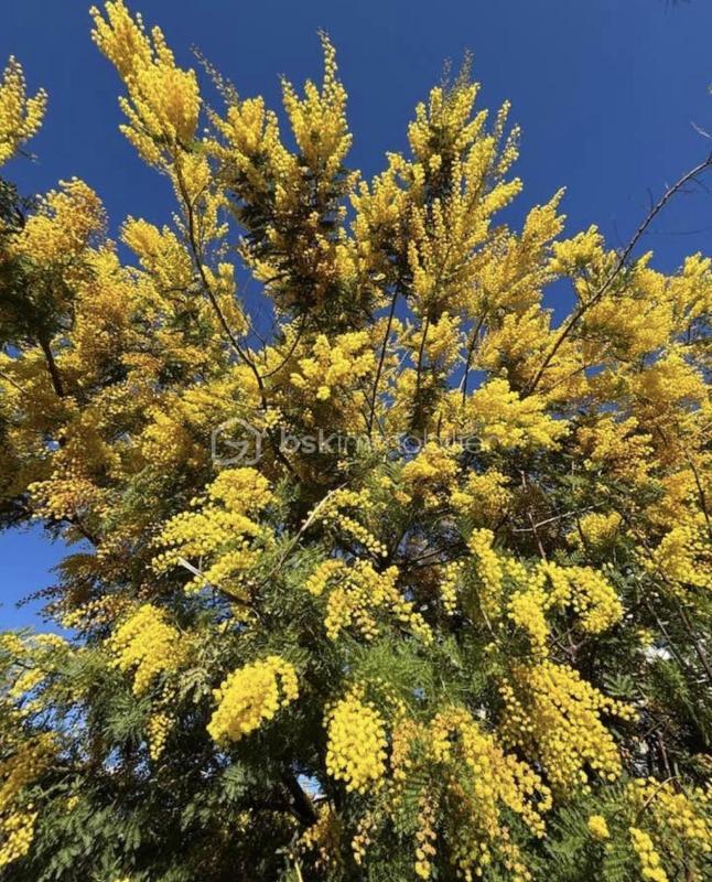 Villa - 82 m² - 4 pièces