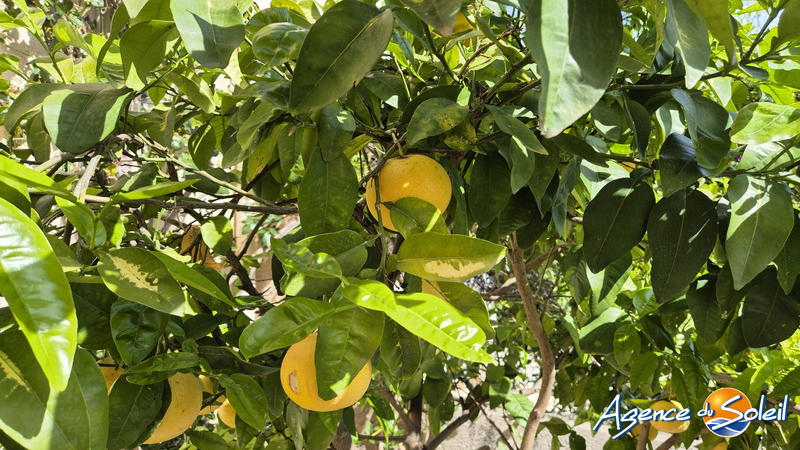 Villa - 154 m² - 5 pièces