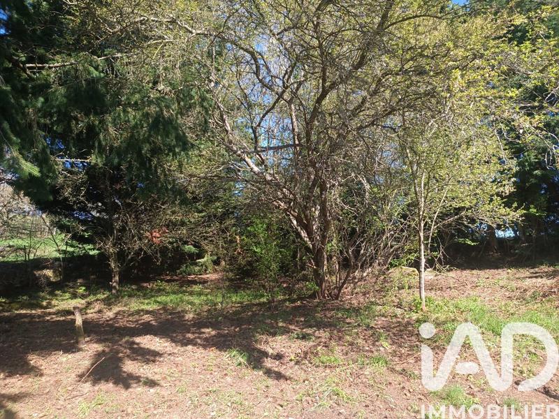 Maison - 100 m² - 3 pièces