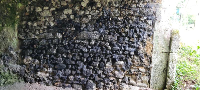 Maison - 42 m² - 1 pièce