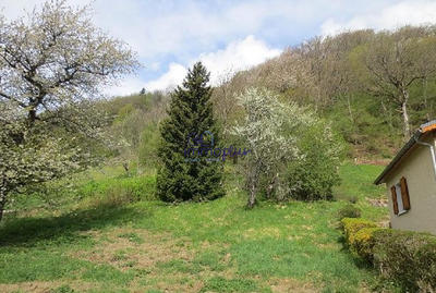 Terrain - 1 359 m²