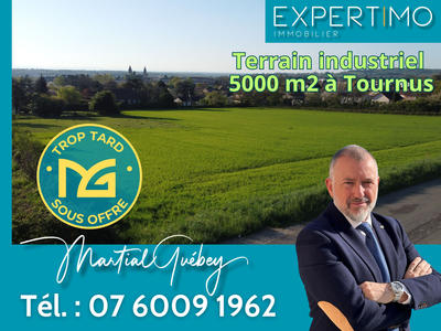 Terrain - 10 736 m²