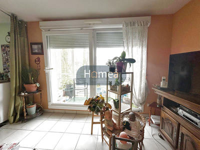 Appartement - 56 m² - 2 pièces