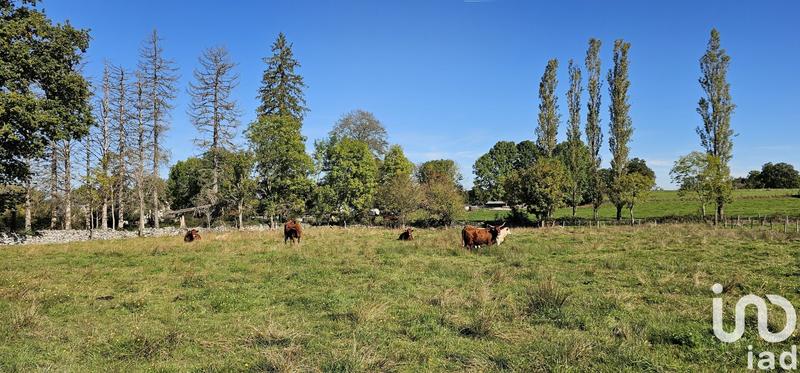 Ferme - 320 m² - 2 pièces