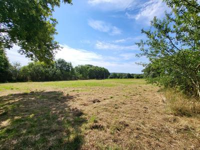 Terrain - 3 350 m²