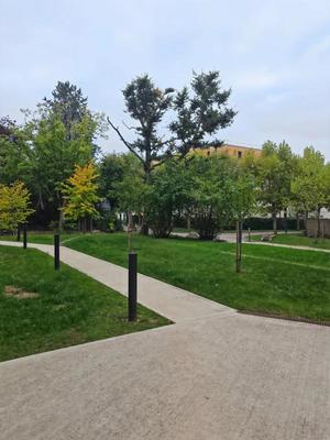 Studio - 19 m² - 1 pièce