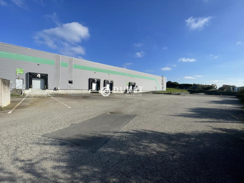 Local d'activités - 3 500 m²