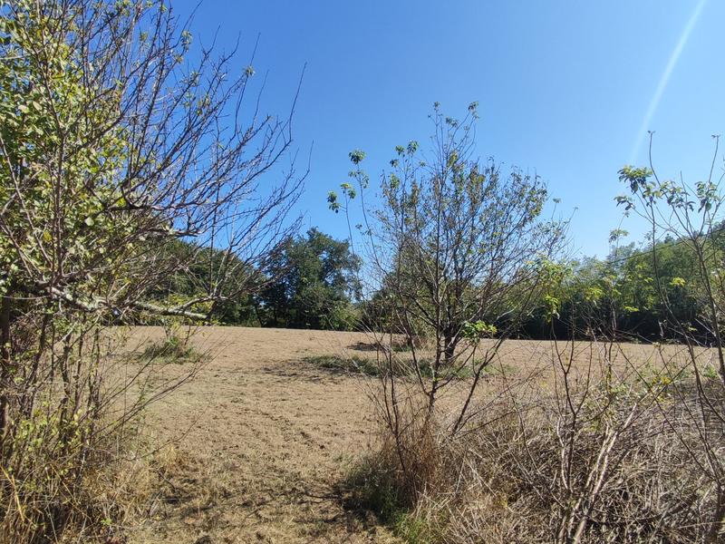 Maison - 215 m² - 7 pièces