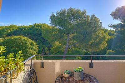 Duplex - 50 m² - 2 pièces