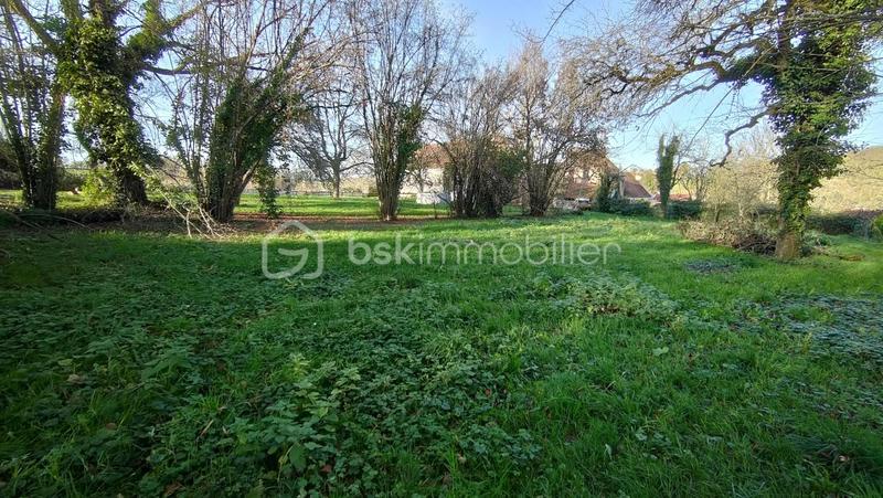 Maison ancienne - 201 m² - 7 pièces