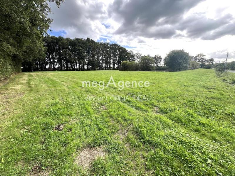 Terrain de loisirs - 12 539 m²