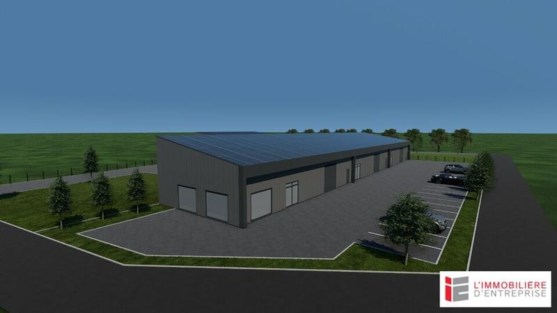 Local d'activité / Entrepôt - 715 m²