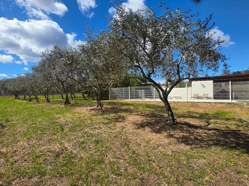 Mas - 120 m² - 5 pièces