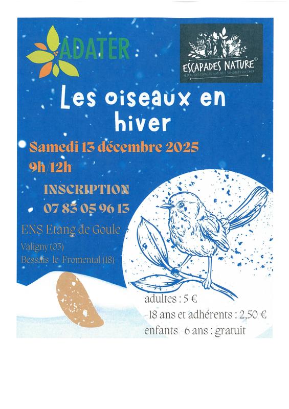 Sortie Nature les oiseaux en hiver