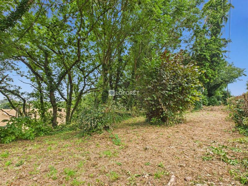Terrain constructible - 1 306 m²