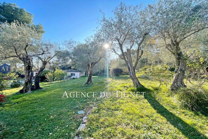 Maison - 251 m² - 5 pièces