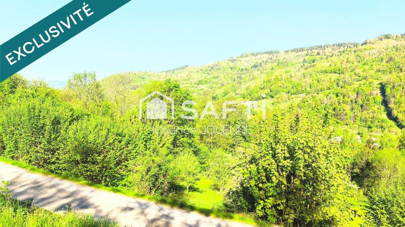 Terrain - 3 123 m²