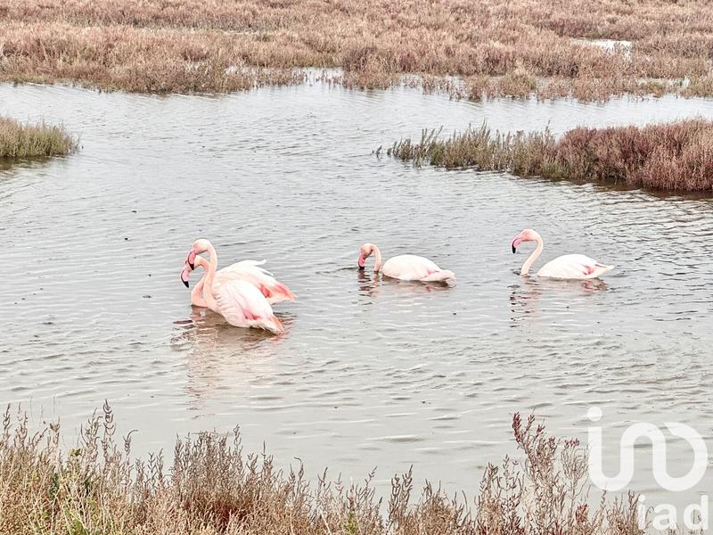 Maison de ville - 62 m² - 3 pièces