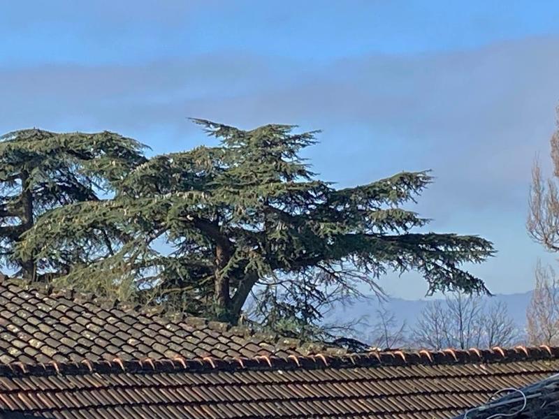 Appartement - 115 m² - 5 pièces