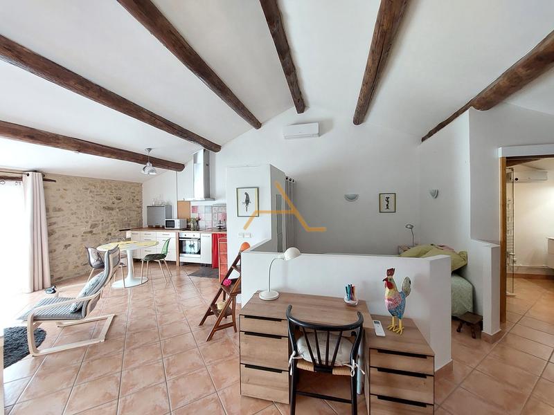 Maison en pierre - 263 m² - 8 pièces