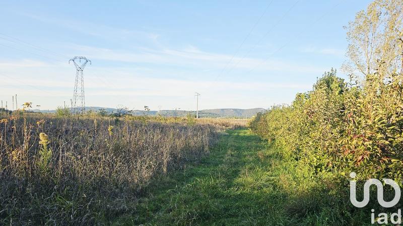 Terrain agricole - 4 295 m²