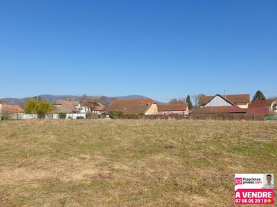 Terrain constructible - 703 m²