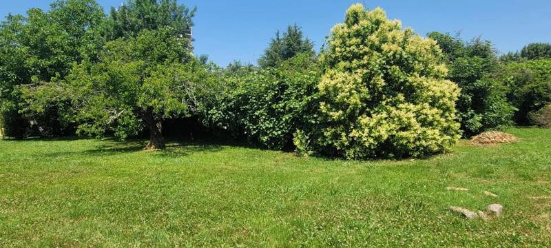 Maison - 150 m² - 1 pièce