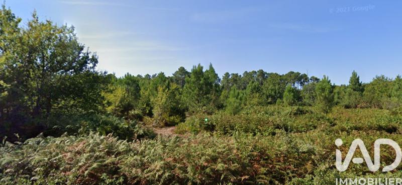 Terrain - 15 674 m²