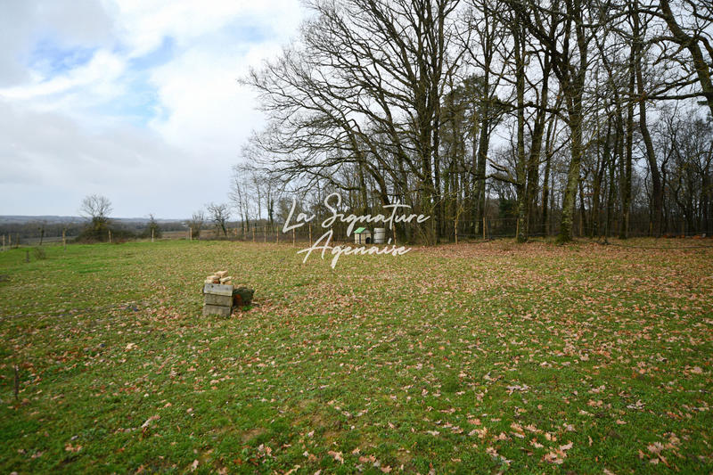 Maison - 167 m² - 5 pièces