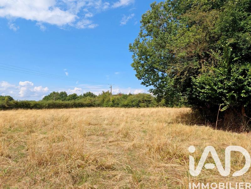 Maison de campagne - 66 m² - 3 pièces