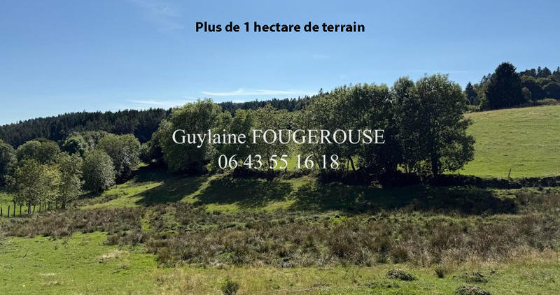 Maison - 380 m² - 8 pièces