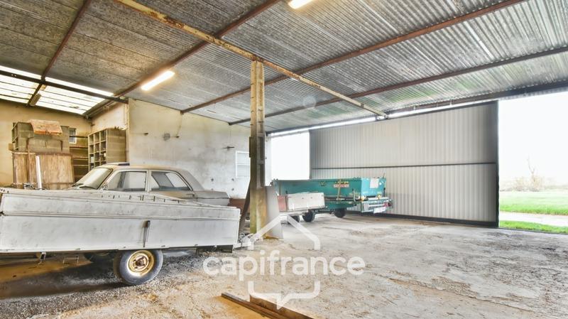 Hangar - 592 m² - 5 pièces