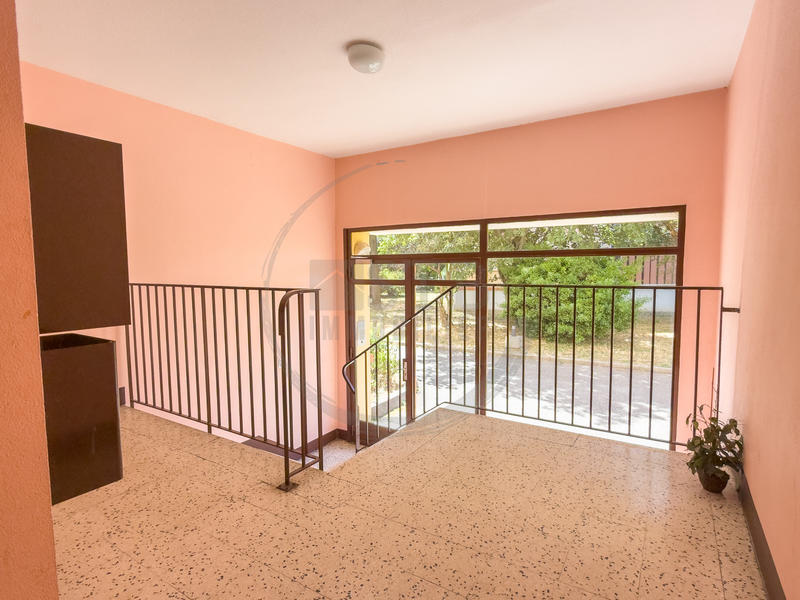 Appartement - 55 m² - 2 pièces