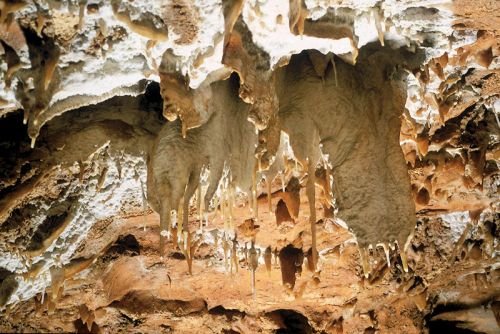 Grotte de Draye Blanche